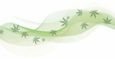 cannabis par  sweet botanic