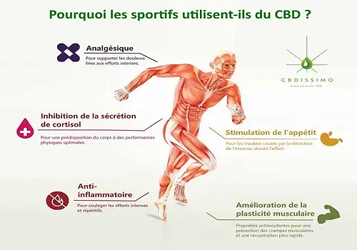 cbd sport effets 