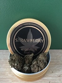 strawberry cbd 